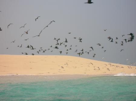 sable blanc